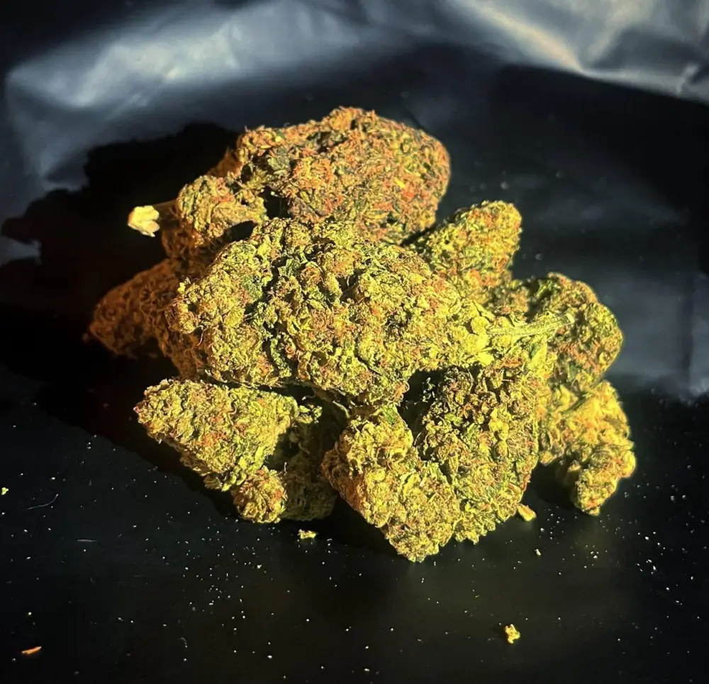 🍀 USA HYDROPONIC 🍀