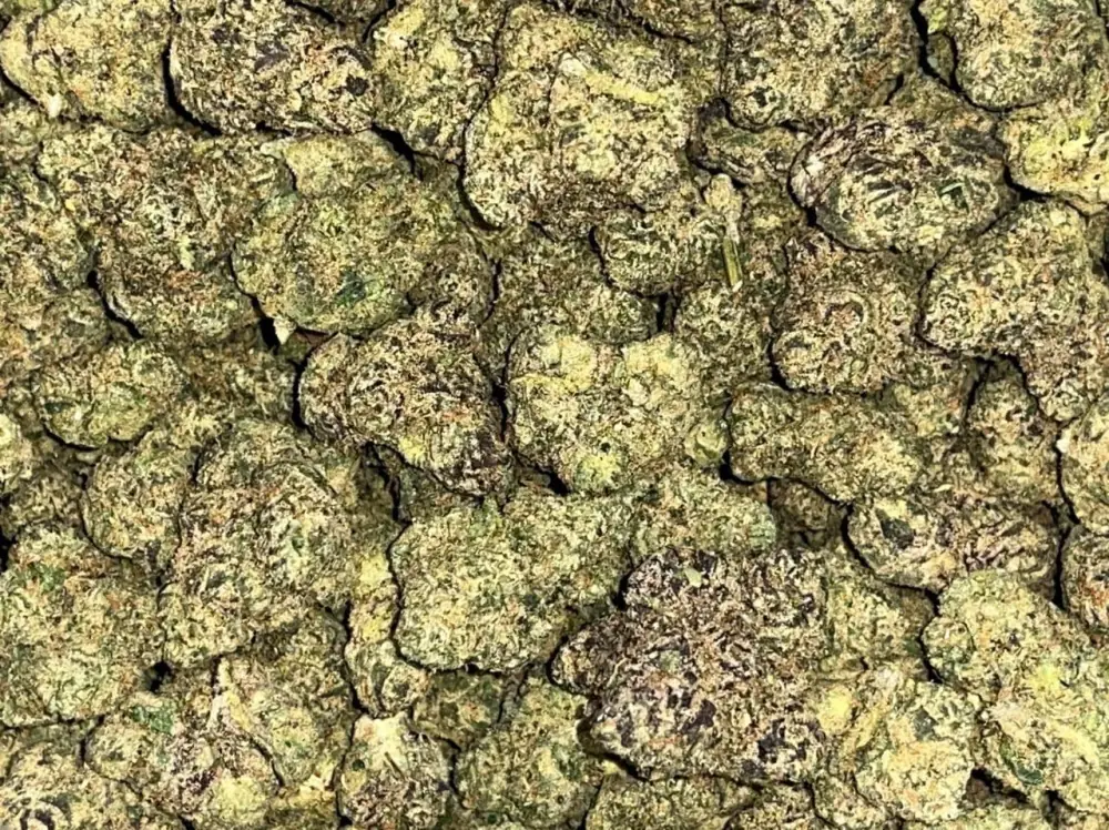 🍀 INDOOR PREMIUM 🍀